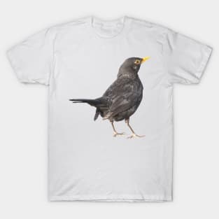 Blackbird Vector Art Cut Out T-Shirt